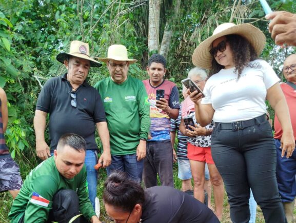 Em Iranduba e Manacapuru, Idam distribui 6,1 mil mudas de castanheira a agricultores fami…