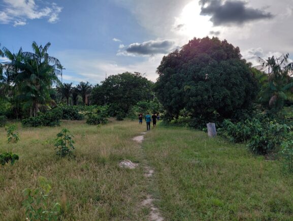 Idam atende agricultores familiares em Maués com emissão de documentos e elaboração de pr…