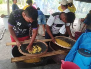 Moradores da comunidade Açaituba em Santa Isabel do Rio Negro recebem curso de Beneficiam…