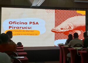 Idam assessora pescadores manejadores de Maraã para participarem do Programa de Pagamento…