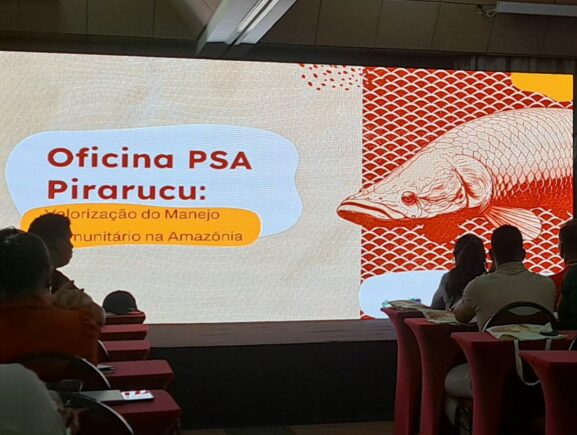 Idam assessora pescadores manejadores de Maraã para participarem do Programa de Pagamento…