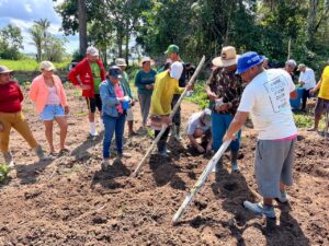 Agricultores familiares de Barreirinha são capacitados pelo Idam no cultivo eficiente de …