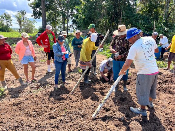 Agricultores familiares de Barreirinha são capacitados pelo Idam no cultivo eficiente de …