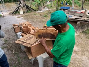Em Rio Preto da Eva, Idam trabalha junto a Prefeitura Municipal para desenvolver a melipo…