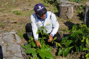 Idam leva assistência técnica a agricultores do ramal do Jurupari em Envira