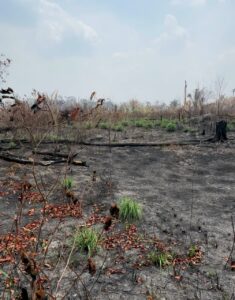 Idam orienta agricultores familiares sobre práticas de preparo da roça sem o uso de fogo