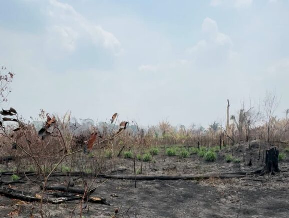 Idam orienta agricultores familiares sobre práticas de preparo da roça sem o uso de fogo